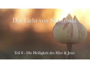 Shambala – Einheit 8 – Die Heiligkeit des Hier & Jetzt